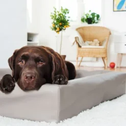 Bia Bed Original Hundeseng Beige/Grå