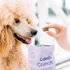 Buddy Petfoods Lamb Crunch godbiter til hund 150 g