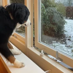 DogSpace Startkit for å Valpesikre hjemmet