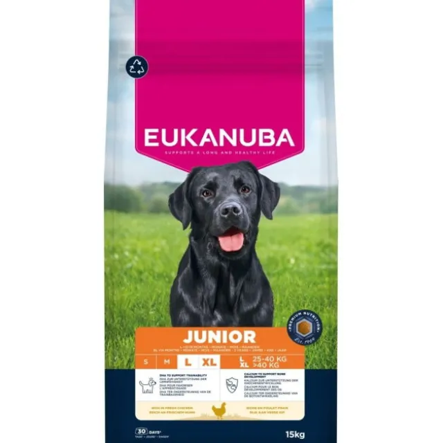 Eukanuba Junior Large Breed