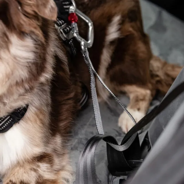 Feel Active heavy duty bilbelte til hund