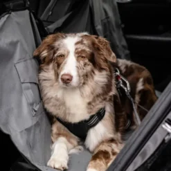 Feel Active heavy duty bilbelte til hund