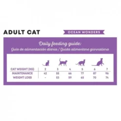 Harper and Bone Cat Adult Ocean Wonders