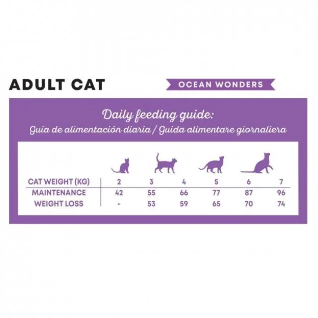 Harper and Bone Cat Adult Ocean Wonders