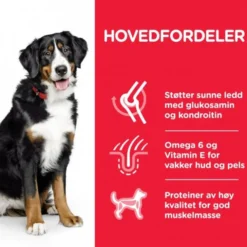Hill's Science Plan Dog Adult Large Breed Chicken