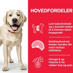 Hill's Science Plan Dog Adult Large Breed Light Chicken 14 kg