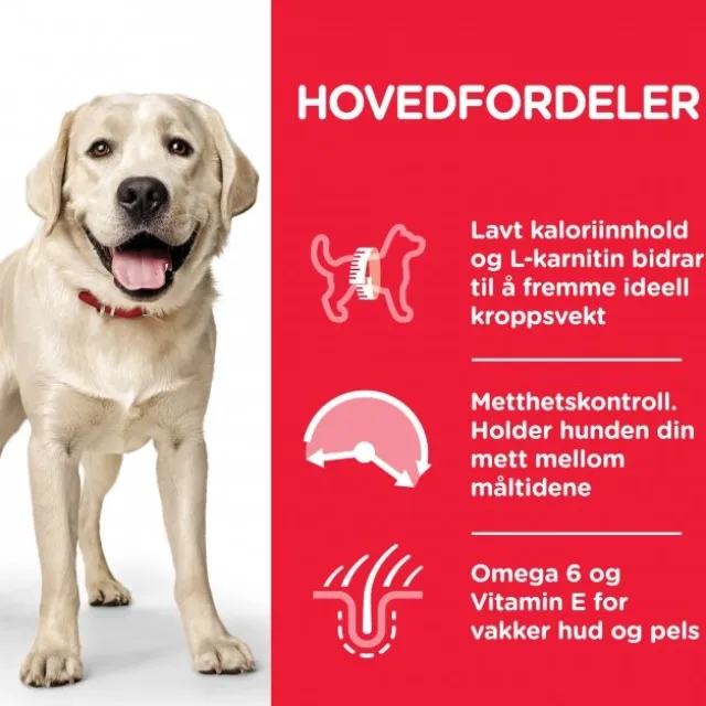 Hill's Science Plan Dog Adult Large Breed Light Chicken 14 kg
