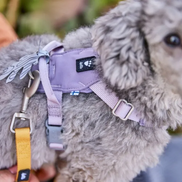 Hurtta Seeker harness lavender