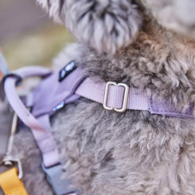 Hurtta Seeker harness lavender