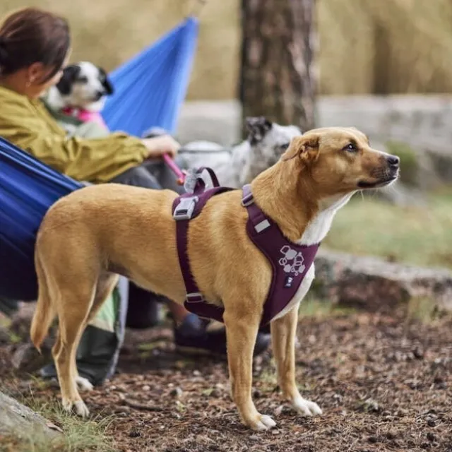 Hurtta Weekend Warrior II ECO Hundesele Lilla