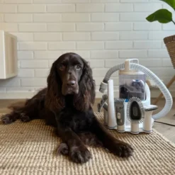 Neakasa P2 Pro Pet Pelspleiesett