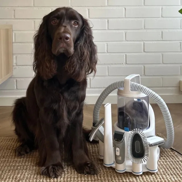 Neakasa P2 Pro Pet Pelspleiesett