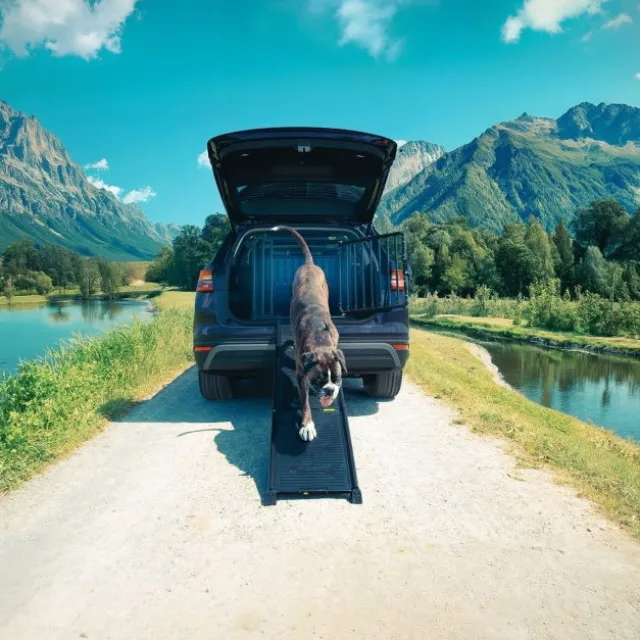 4Pets EasySteps bilrampe for hund sort
