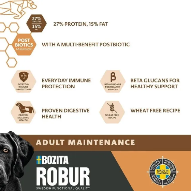 Robur Adult Maintenance