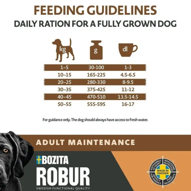 Robur Adult Maintenance