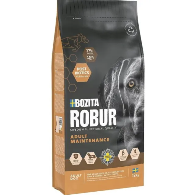 Robur Adult Maintenance