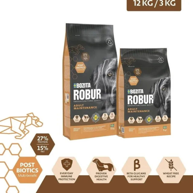 Robur Adult Maintenance