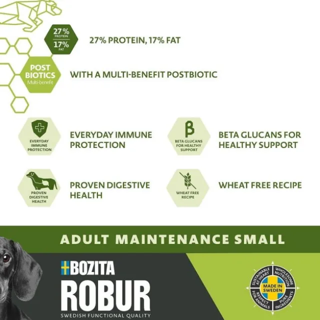 Robur Adult Maintenance Mini