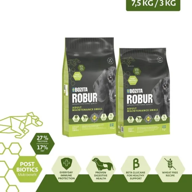 Robur Adult Maintenance Mini