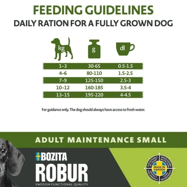 Robur Adult Maintenance Mini