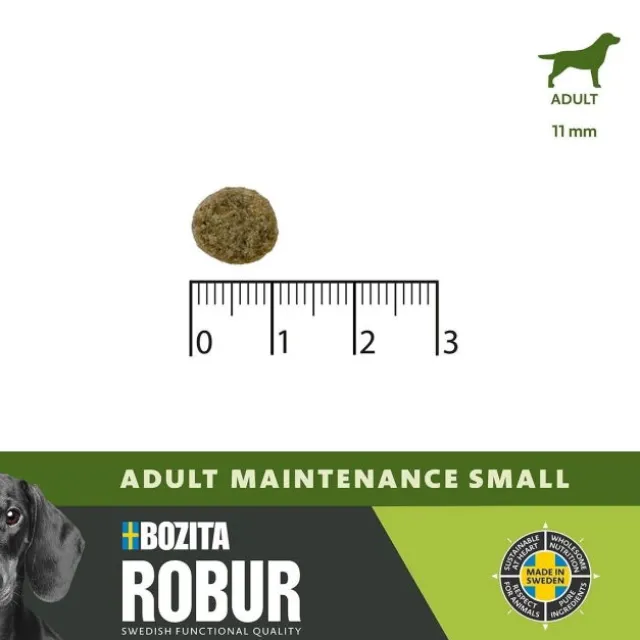 Robur Adult Maintenance Mini