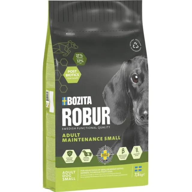 Robur Adult Maintenance Mini