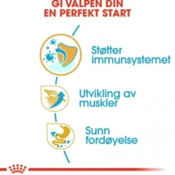 Royal Canin Boxer Puppy tørrfôr til hundvalp