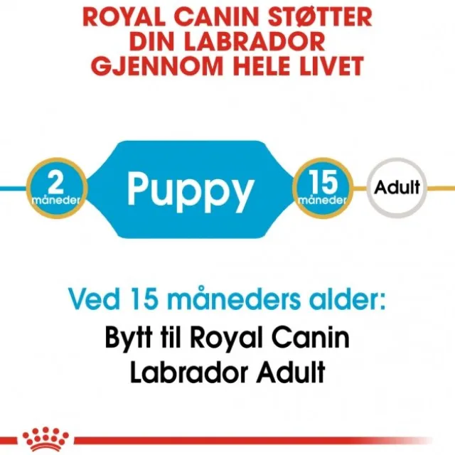 Royal Canin Breed Labrador Retriever Puppy tørrfôr til hundvalp