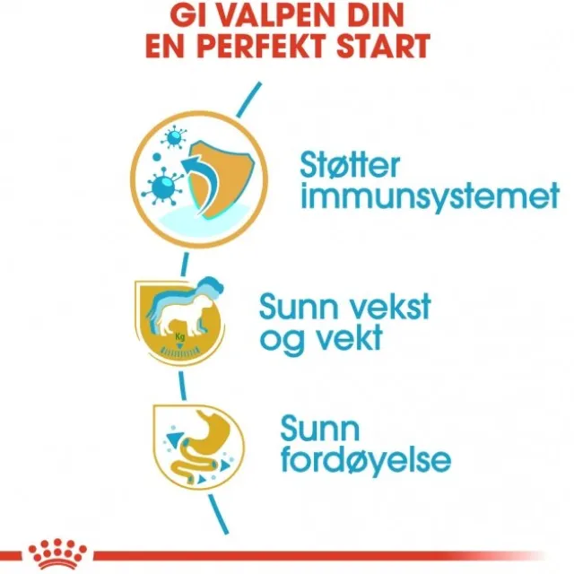 Royal Canin Breed Labrador Retriever Puppy tørrfôr til hundvalp