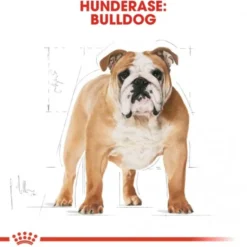 Royal Canin Bulldog Adult tørrfôr til hund