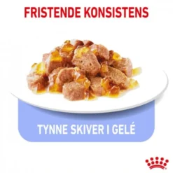 Royal Canin Cat Adult Light Weight Care Chunks in Gravy 12x85g