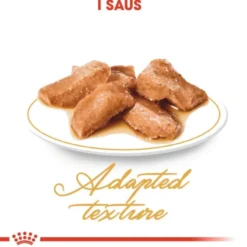Royal Canin Cat Adult Maine Coon Chunks in Gravy 12x85g