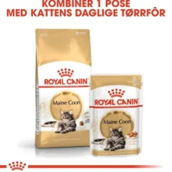 Royal Canin Cat Adult Maine Coon Chunks in Gravy 12x85g