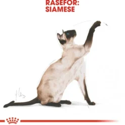 Royal Canin Cat Adult Siamese