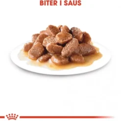 Royal Canin Cat Adult Urinary Care Chunks in Gravy 12x85g