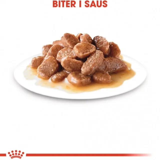 Royal Canin Cat Adult Urinary Care Chunks in Gravy 12x85g