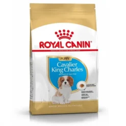 Royal Canin Cavalier King Charles Puppy tørrfôr til hundvalp