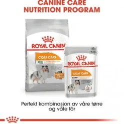 Royal Canin Coat Care Adult våtfôr til hund 12x85 g