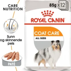 Royal Canin Coat Care Adult våtfôr til hund 12x85 g