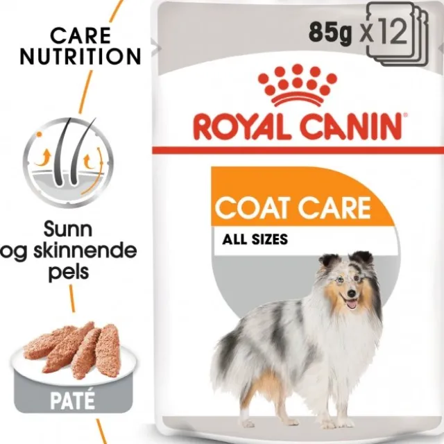 Royal Canin Coat Care Adult våtfôr til hund 12x85 g