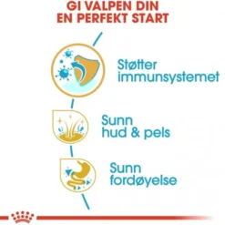 Royal Canin Cocker Puppy tørrfôr til hundvalp