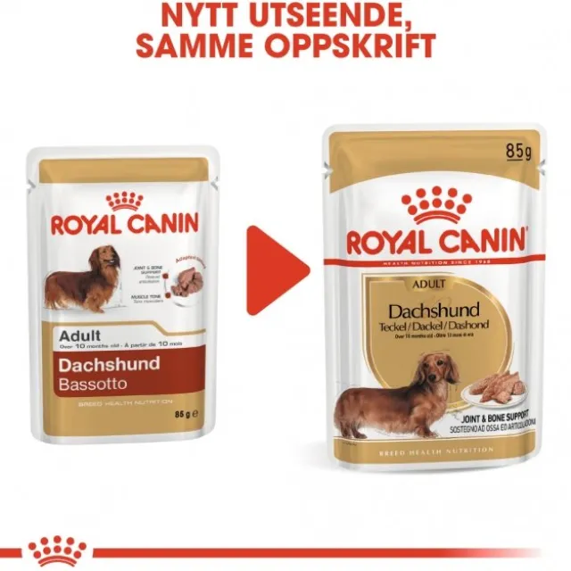 Royal Canin Dachshund Adult Loaf våtfôr til hund 12x85g
