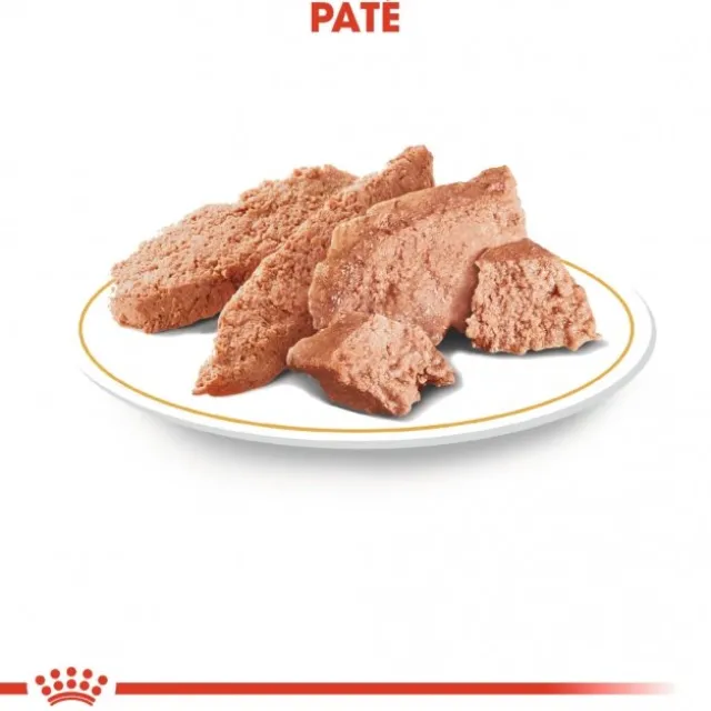 Royal Canin Dachshund Adult Loaf våtfôr til hund 12x85g