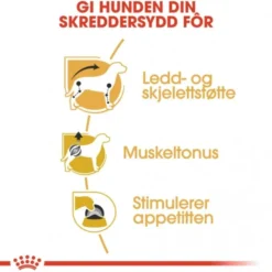 Royal Canin Dachshund Adult Loaf våtfôr til hund 12x85g