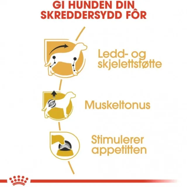Royal Canin Dachshund Adult Loaf våtfôr til hund 12x85g
