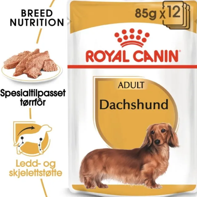 Royal Canin Dachshund Adult Loaf våtfôr til hund 12x85g