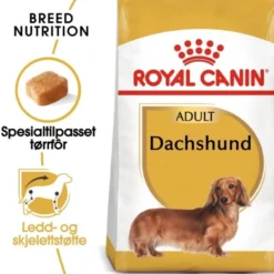 Royal Canin Dachshund Adult tørrfôr til hund