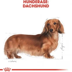 Royal Canin Dachshund Adult tørrfôr til hund