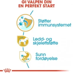 Royal Canin Dachshund Puppy tørrfôr til valp 1,5kg