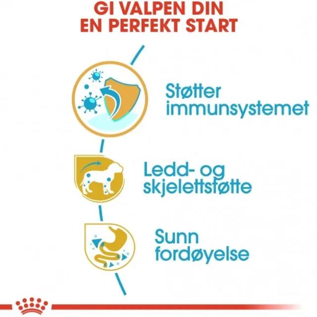 Royal Canin Dachshund Puppy tørrfôr til valp 1,5kg